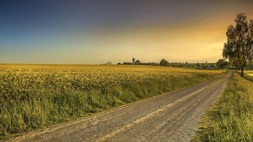 11. Platz Anton Kienle